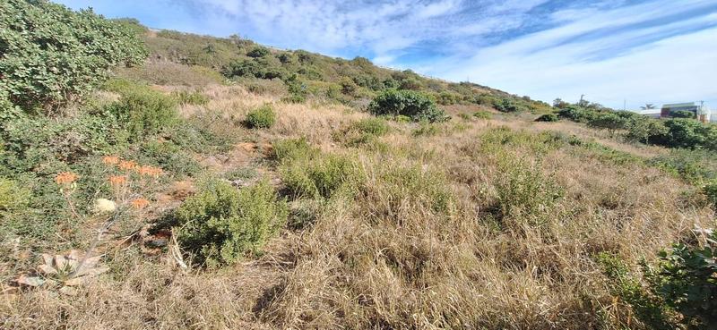 Commercial Property for Sale in Voorbaai Western Cape